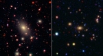Gargantuan Galaxies Slow Their Growth Over Time