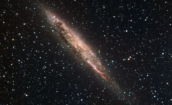Novel Galactic ‘Fossil’: Revealing the Dynamics of Galaxy Evolution