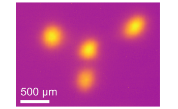 Physicists Demonstrate Rapid Change of Light Helicity