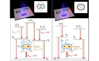 Polarized Emission from Coupled Quantum Dots is Strong Along Coupling Direction