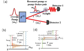 Super-Resolved Coherent Raman Spectroscopy Paves the Way to QFRS
