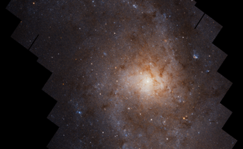 Gaining New Insights into the Triangulum Galaxy