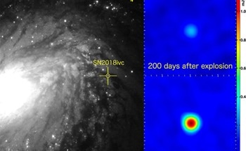 Supernova Gifts Scientists With Valuable Information